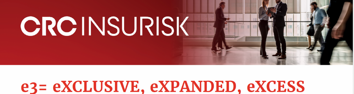 Insurisk e3